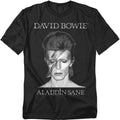 Popfunk Davie Bowie Gradient Ziggy Stardust Unisex Adult T Shirt