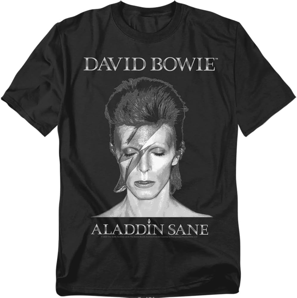 Popfunk Davie Bowie Gradient Ziggy Stardust Unisex Adult T Shirt