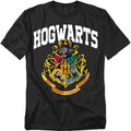 Harry Potter Hogwarts Houses Collegiate Arch Unisex Adult T Shirt Collection
