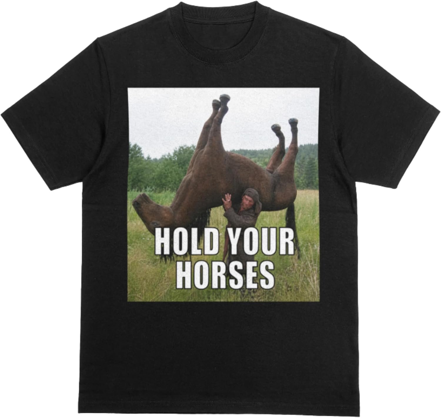 Hold Your Horses Funny Meme T-Shirt, Brainrot Gift, Unhinged Adult Humor, Viral Meme Shirt, Cringe Gen Z Style