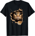 Cute Kitten Looks from Torn Fabric - Cats T-Shirt Small